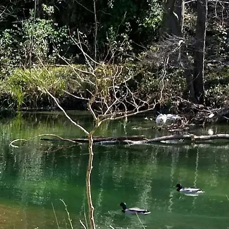 Apartmán Le Moulin Aux Chandelles 2, Vacances & W-e, Vues Riviere, Montagne & Ville, Tout Confort Deconnecte, Eclairage Bougies, Connexions A 200m Au Centre Le Vigan Gite Les Amoureux De L'arre, Randonnee Chemin De Saint-guilhem-le-desert, Lire Profil Avant R Le Vigan (Gard)