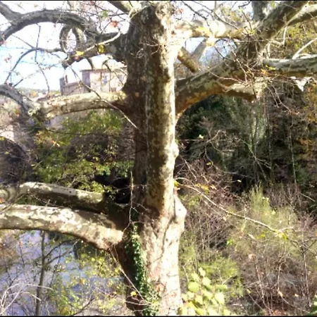 Apartmán Le Moulin Aux Chandelles 2, Vacances & W-e, Vues Riviere, Montagne & Ville, Tout Confort Deconnecte, Eclairage Bougies, Connexions A 200m Au Centre Le Vigan Gite Les Amoureux De L'arre, Randonnee Chemin De Saint-guilhem-le-desert, Lire Profil Avant R