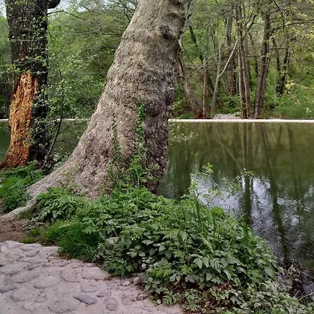 Le Moulin Aux Chandelles 2, Vacances & W-e, Vues Riviere, Montagne & Ville, Tout Confort Deconnecte, Eclairage Bougies, Connexions A 200m Au Centre Le Vigan Gite Les Amoureux De L'arre, Randonnee Chemin De Saint-guilhem-le-desert, Lire Profil Avant R