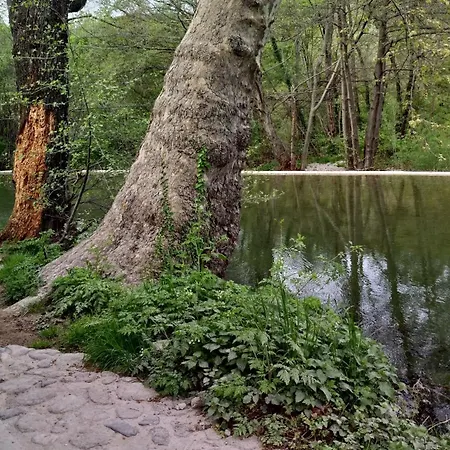 Le Moulin Aux Chandelles 2, Vacances & W-e, Vues Riviere, Montagne & Ville, Tout Confort Deconnecte, Eclairage Bougies, Connexions A 200m Au Centre Le Vigan Gite Les Amoureux De L'arre, Randonnee Chemin De Saint-guilhem-le-desert, Lire Profil Avant R