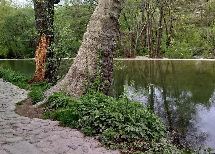 Le Moulin Aux Chandelles 2, Vacances & W-e, Vues Riviere, Montagne & Ville, Tout Confort Deconnecte, Eclairage Bougies, Connexions A 200m Au Centre Le Vigan Gite Les Amoureux De L'arre, Randonnee Chemin De Saint-guilhem-le-desert, Lire Profil Avant R